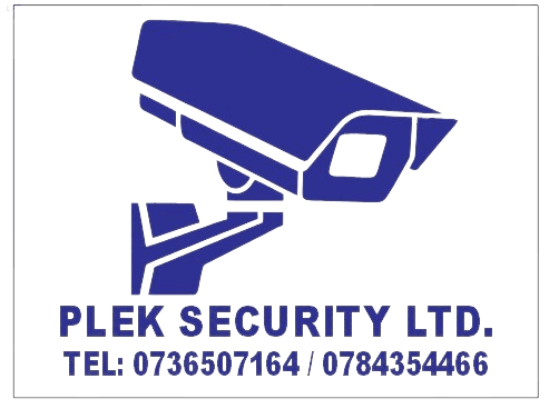 Plek Security Logo