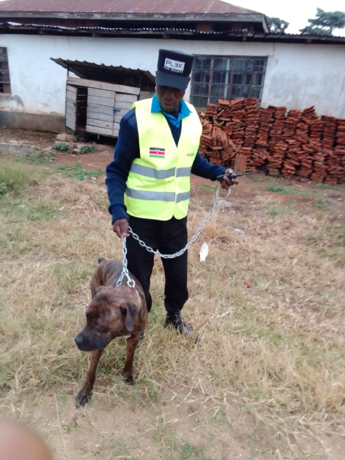 Security dogs and handlers